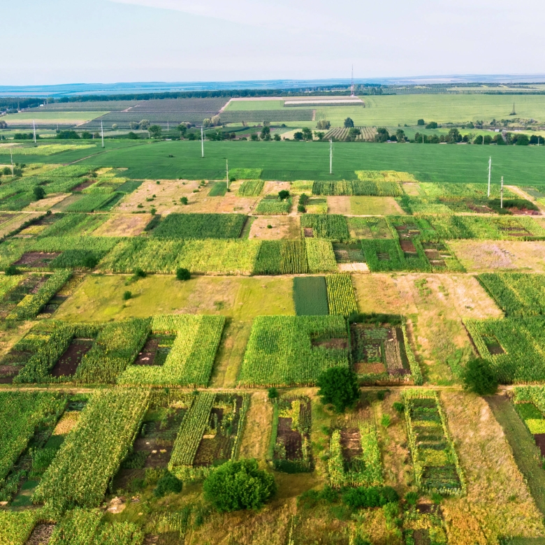 Residential vs. Commercial Plots: Which One Should You Buy?